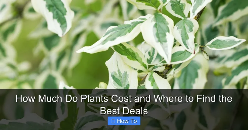 How Much Do Plants Cost and Where to Find the Best Deals