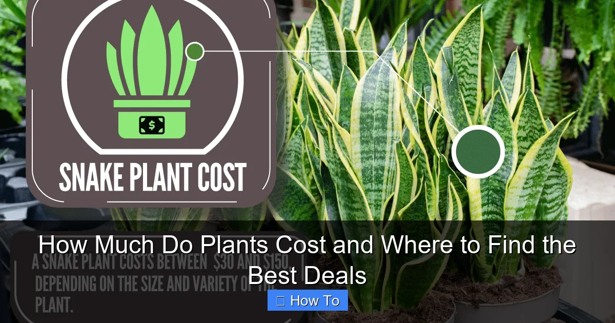 How Much Do Plants Cost and Where to Find the Best Deals