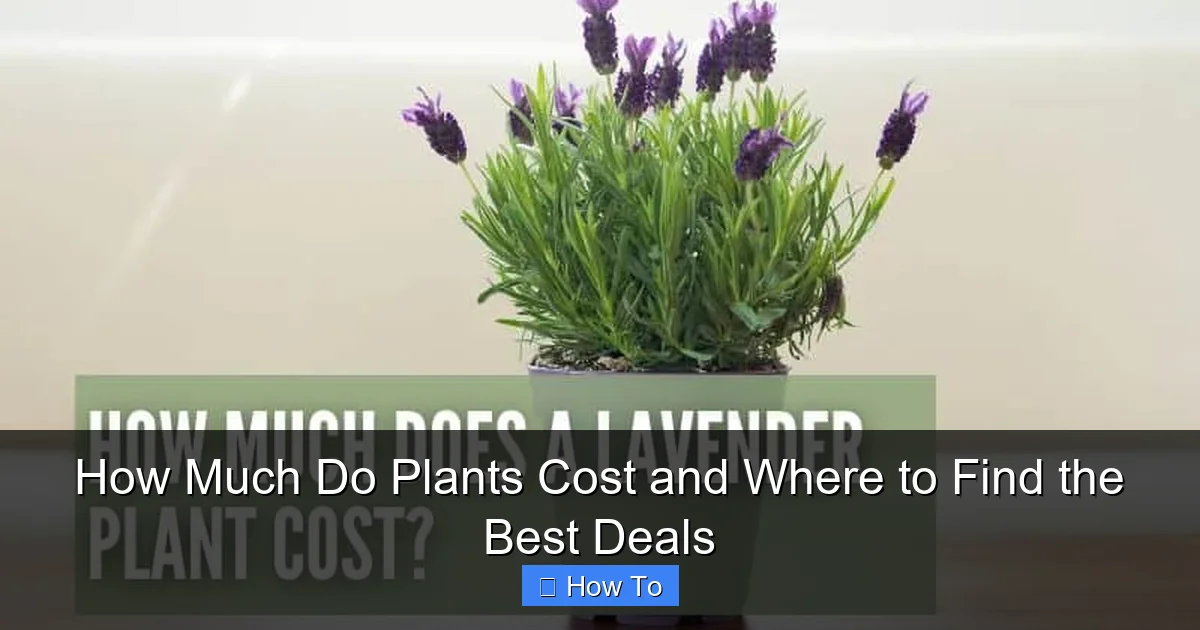 How Much Do Plants Cost and Where to Find the Best Deals