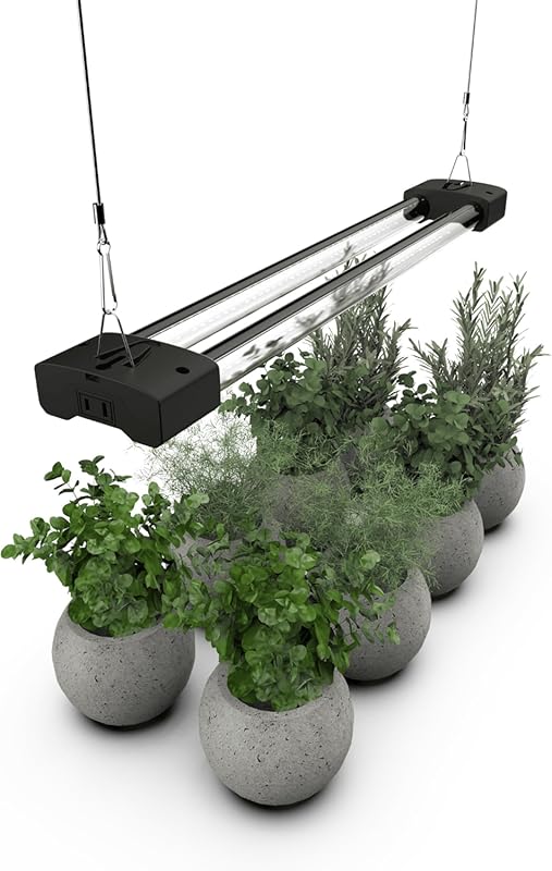 DYMOND BoostGro LED Light