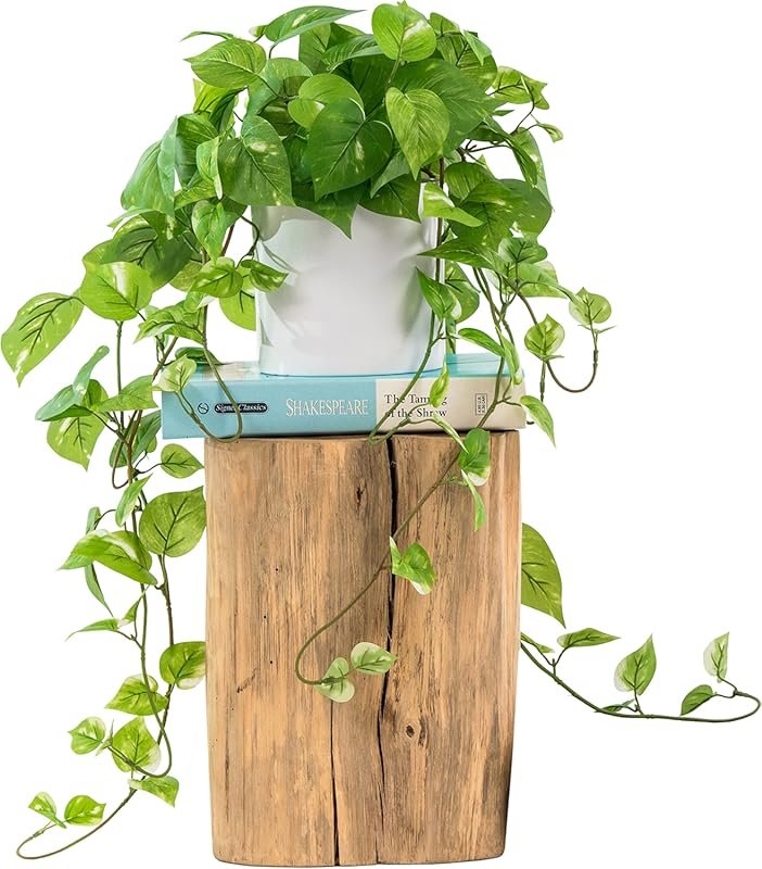 Silk Pothos Plant
