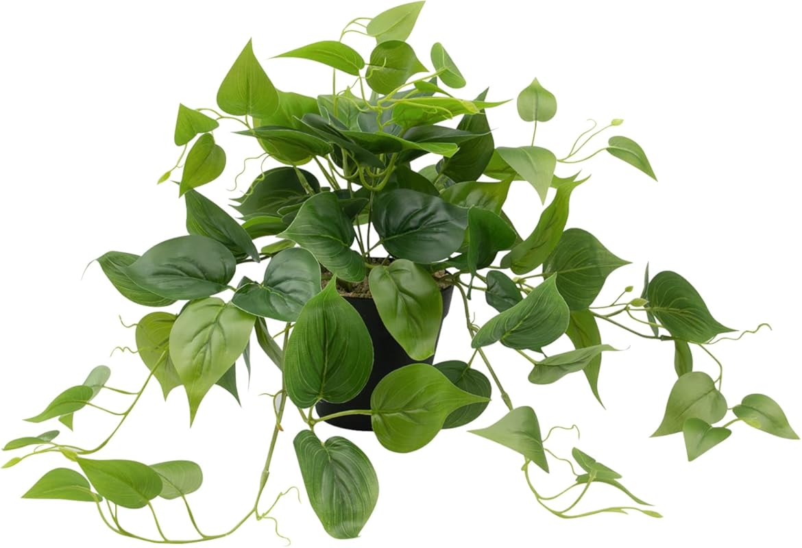 Realistic Artificial Pothos Scindapsus Aureus
