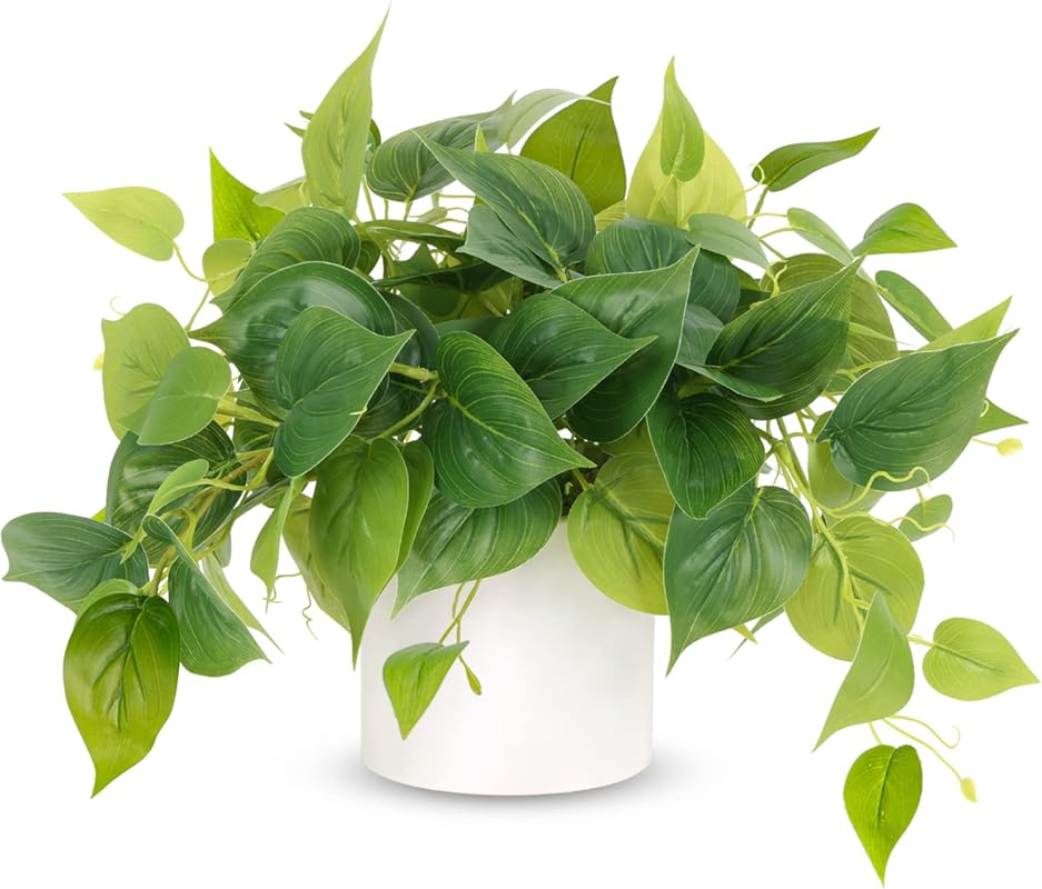 JPSOR Small Artificial Pothos