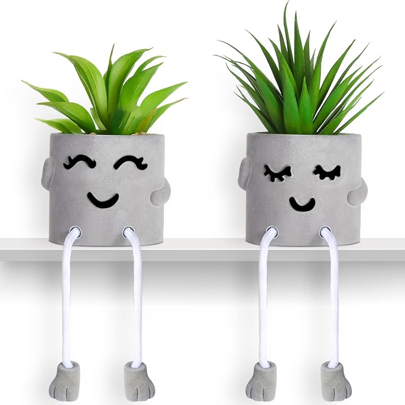 Set of Two Artificial Succulents