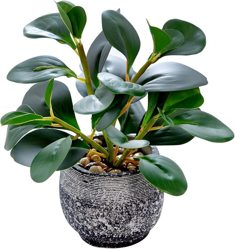 Small Realistic Faux Ficus Plant in Rustic Cement Planter for Low Ligh