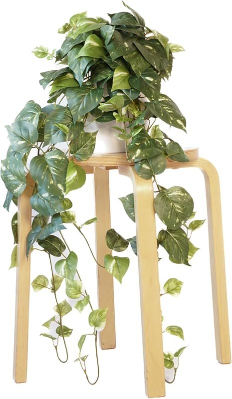 Realistic Artificial Pothos