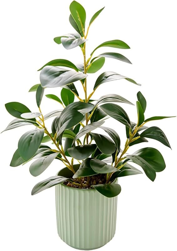 Lifelike Artificial Ficus Plant in a Light Green Ceramic Stripe Plante