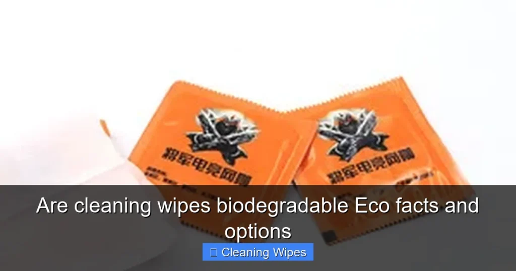 Are cleaning wipes biodegradable Eco facts and options