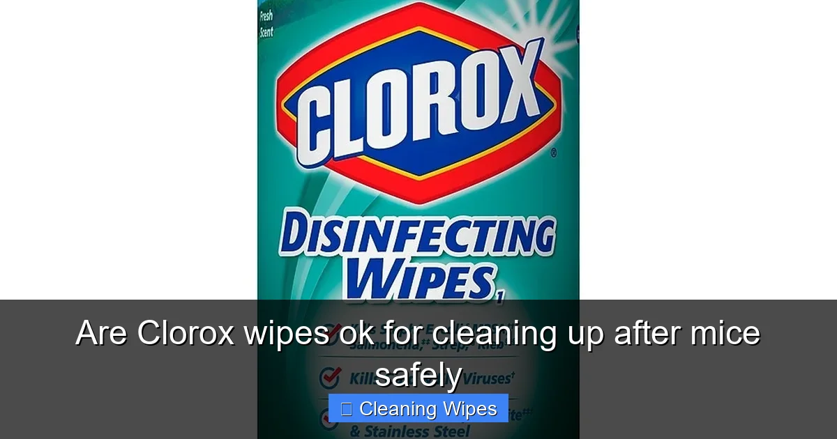 Are Clorox wipes ok for cleaning up after mice safely