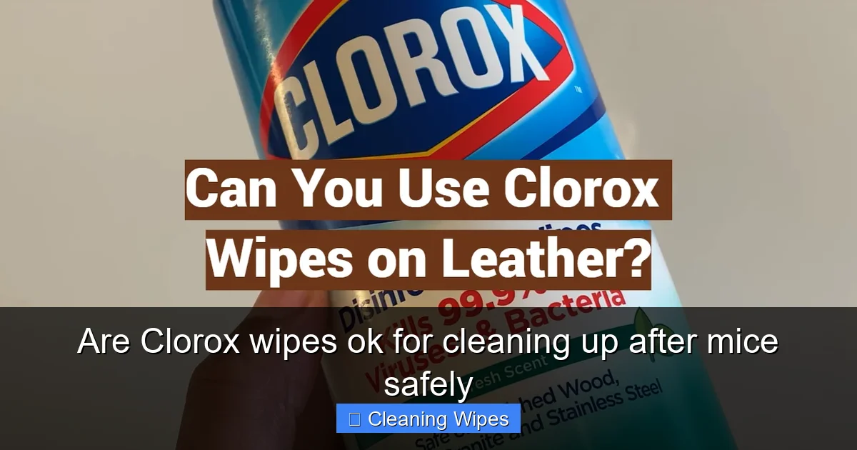 Are Clorox wipes ok for cleaning up after mice safely