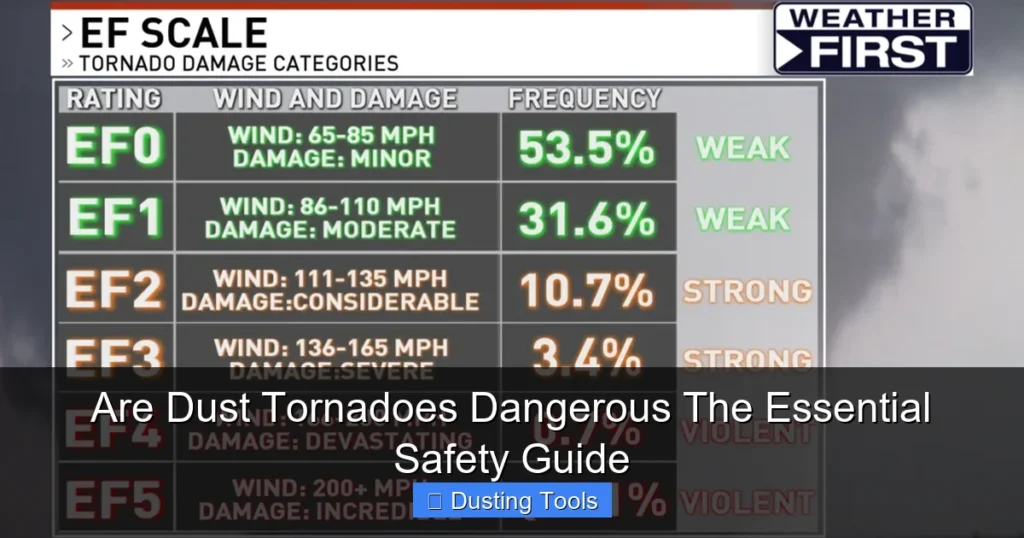 Are Dust Tornadoes Dangerous The Essential Safety Guide