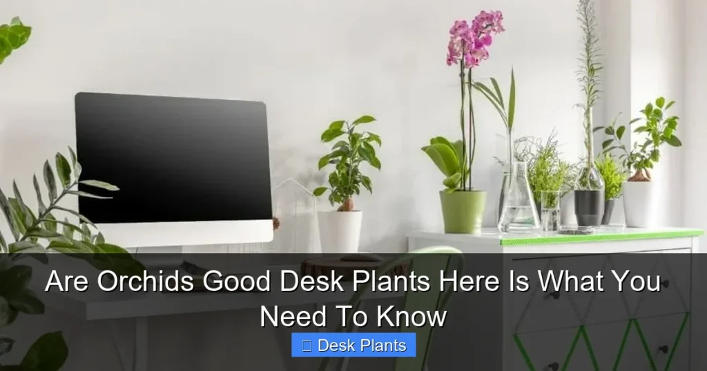 Are Orchids Good Desk Plants Here Is What You Need To Know