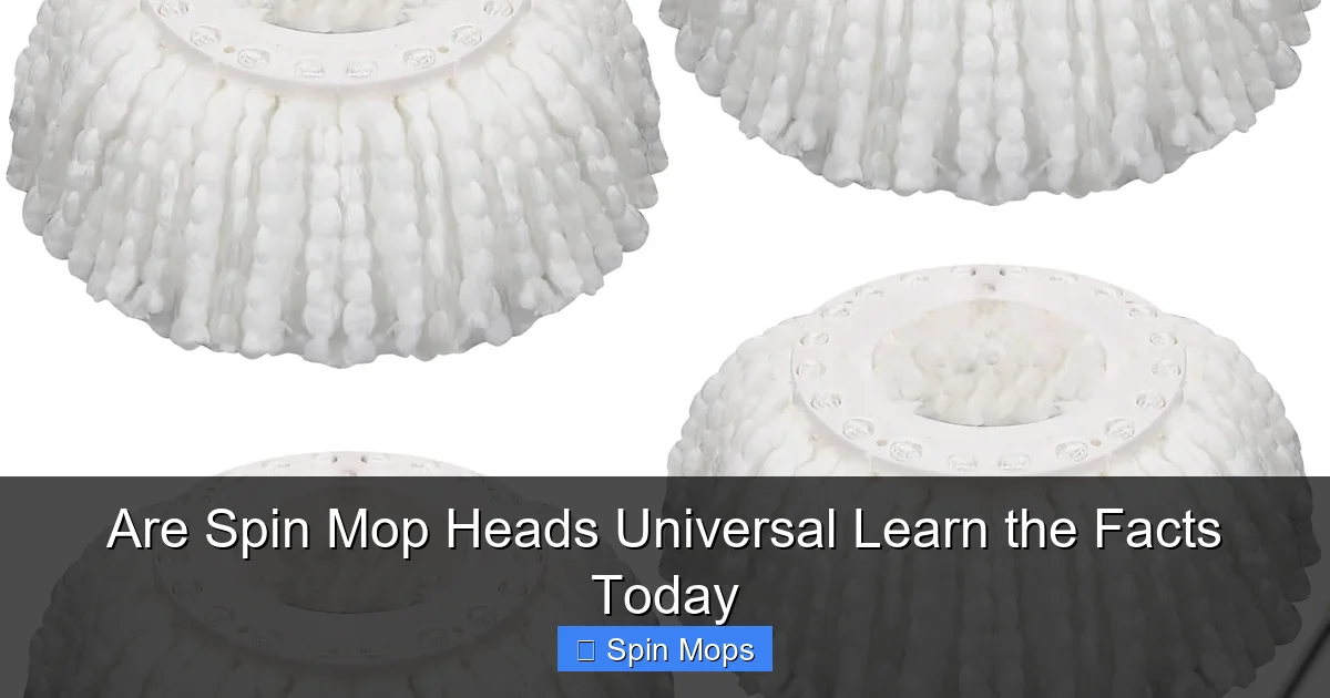 Are Spin Mop Heads Universal Learn the Facts Today