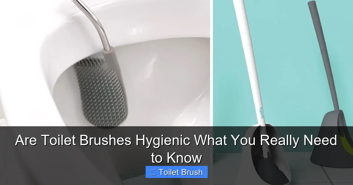 Are Toilet Brushes Hygienic What You Really Need to Know