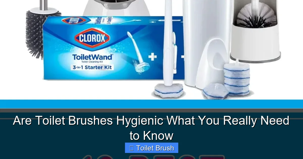 Are Toilet Brushes Hygienic What You Really Need to Know