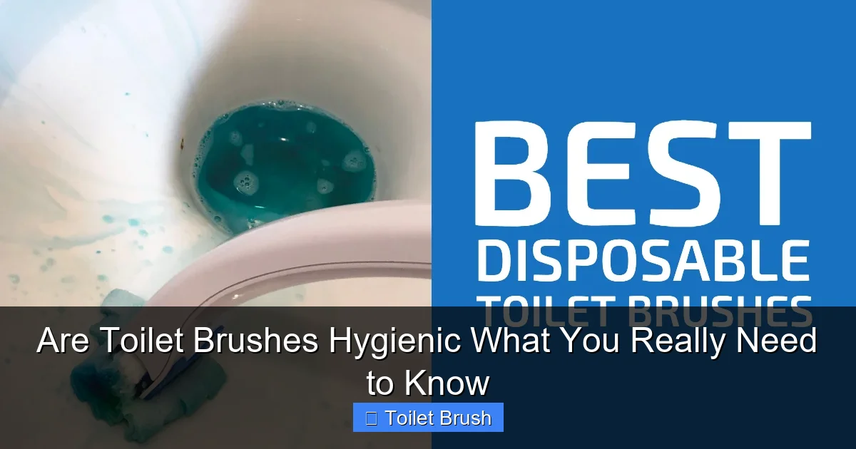 Are Toilet Brushes Hygienic What You Really Need to Know