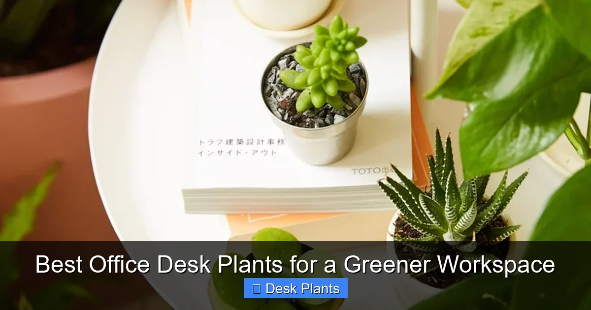 Best Office Desk Plants for a Greener Workspace