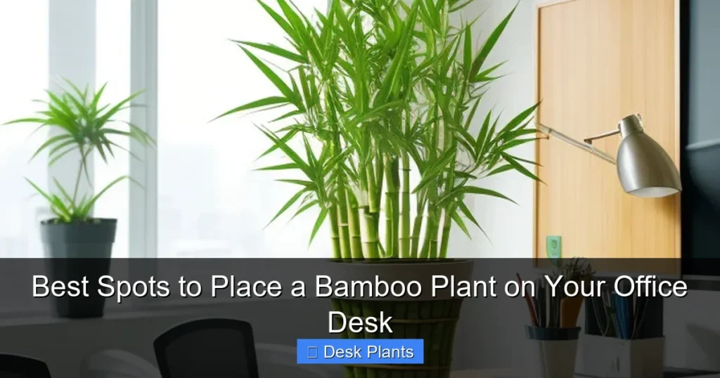 Best Spots to Place a Bamboo Plant on Your Office Desk