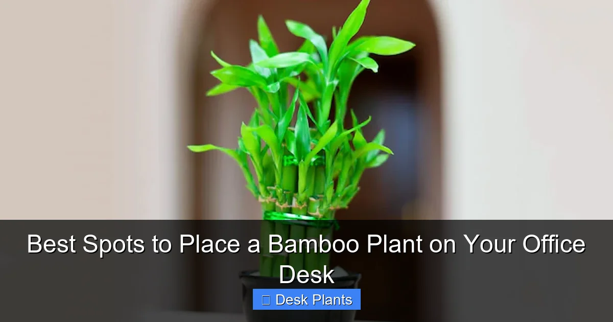 Best Spots to Place a Bamboo Plant on Your Office Desk