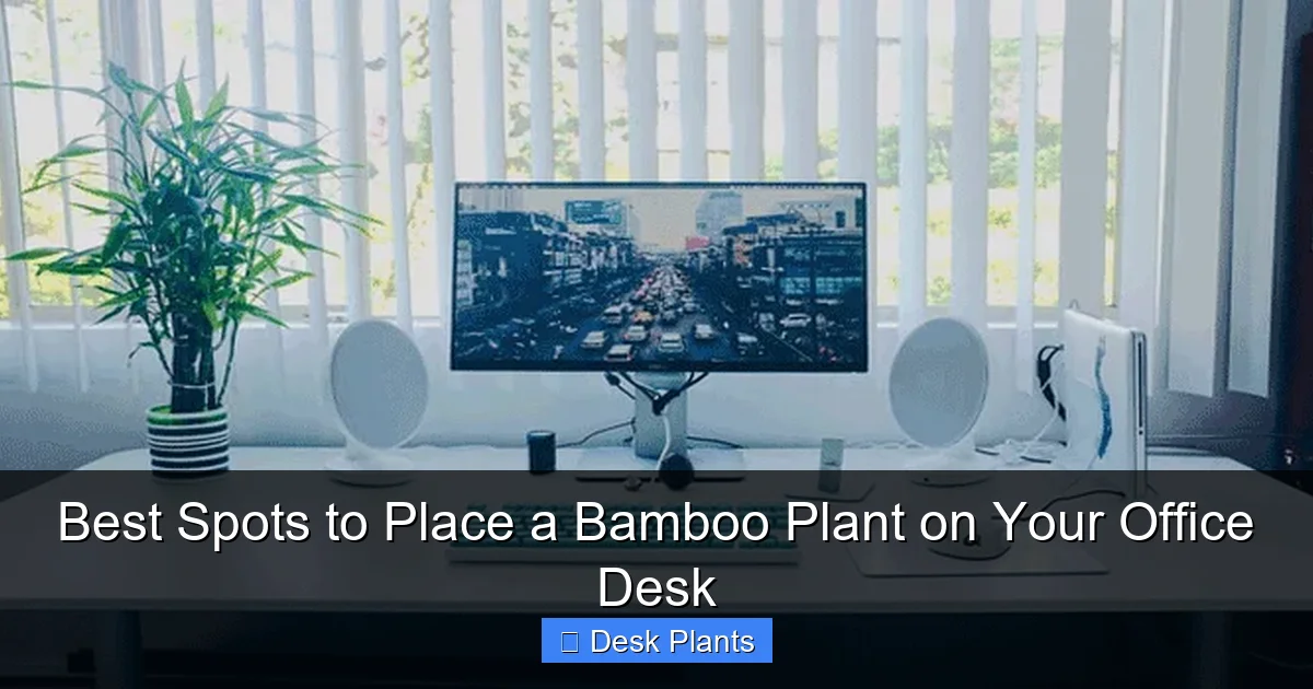 Best Spots to Place a Bamboo Plant on Your Office Desk