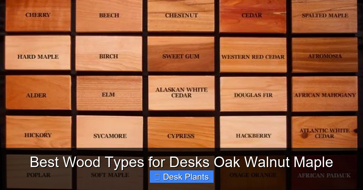 Best Wood Types for Desks Oak Walnut Maple