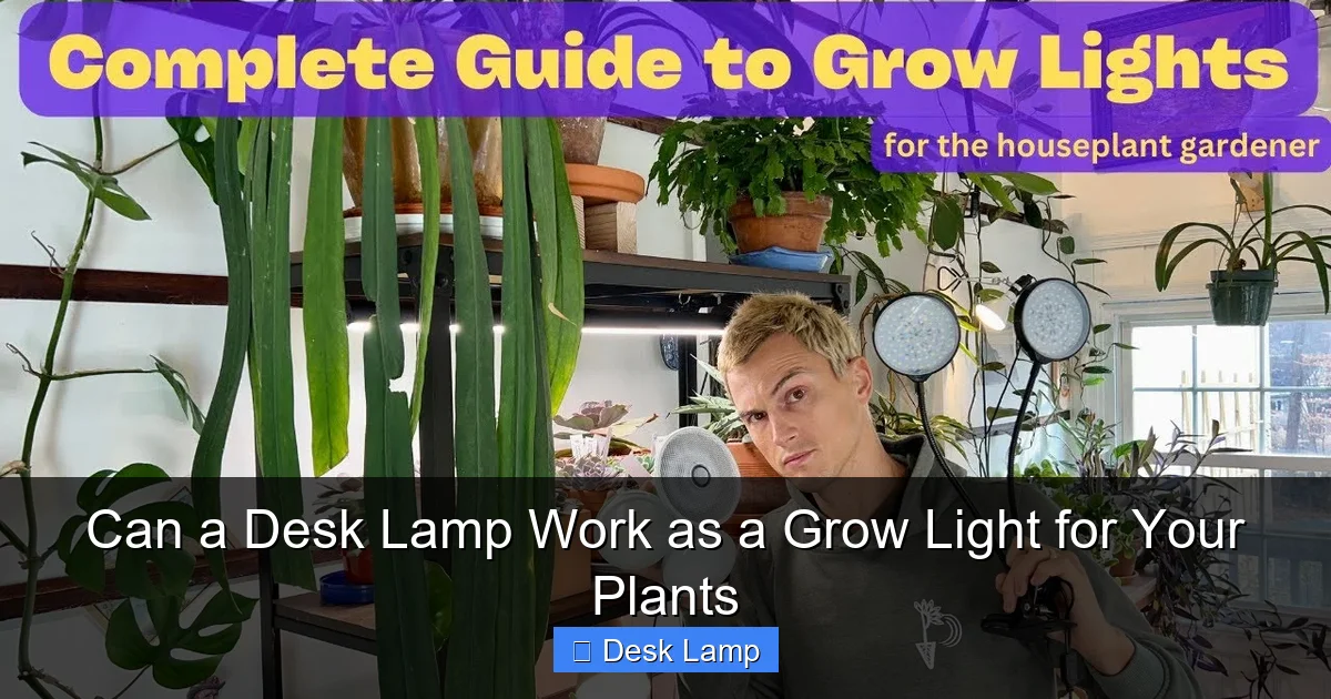 Can a Desk Lamp Work as a Grow Light for Your Plants