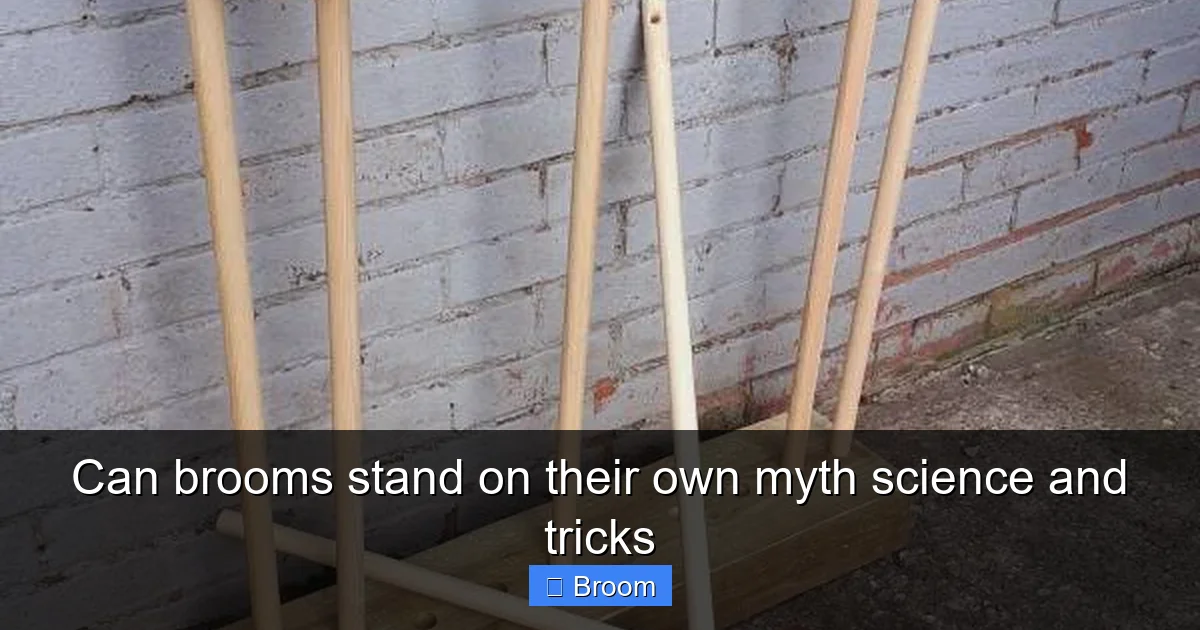 Can brooms stand on their own myth science and tricks