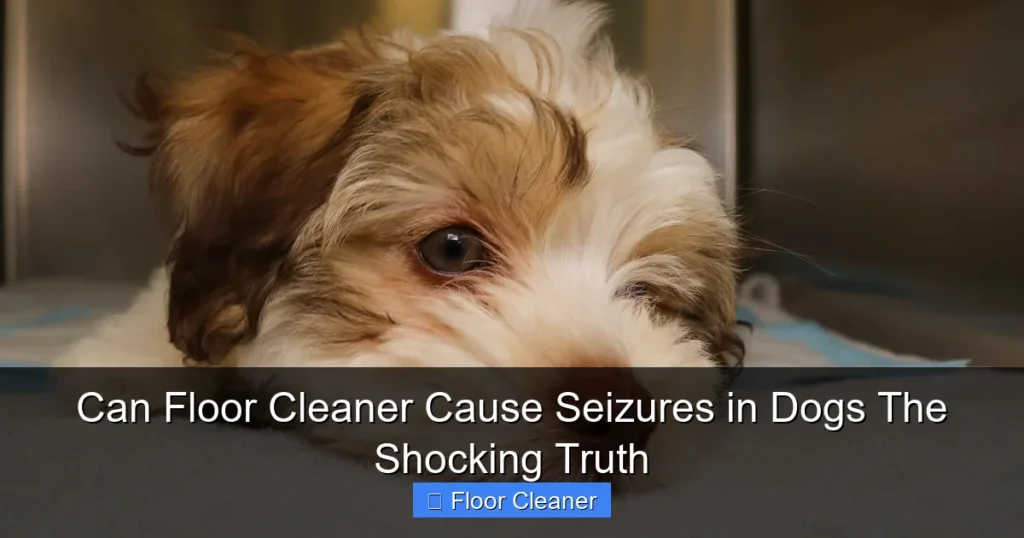 Can Floor Cleaner Cause Seizures in Dogs The Shocking Truth