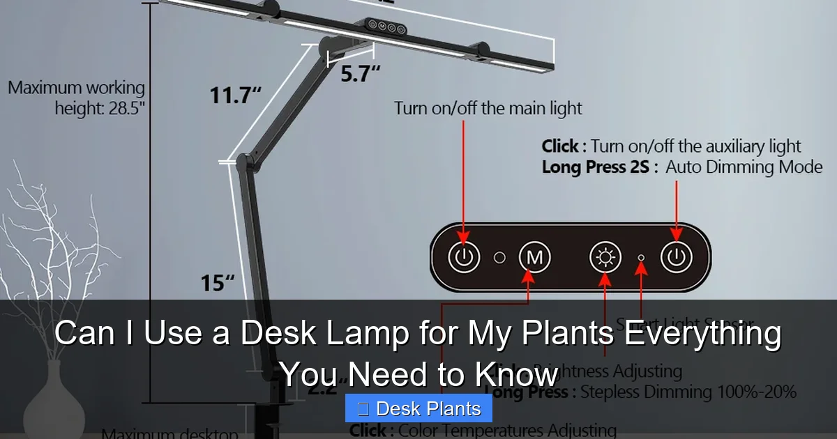 Can I Use a Desk Lamp for My Plants Everything You Need to Know