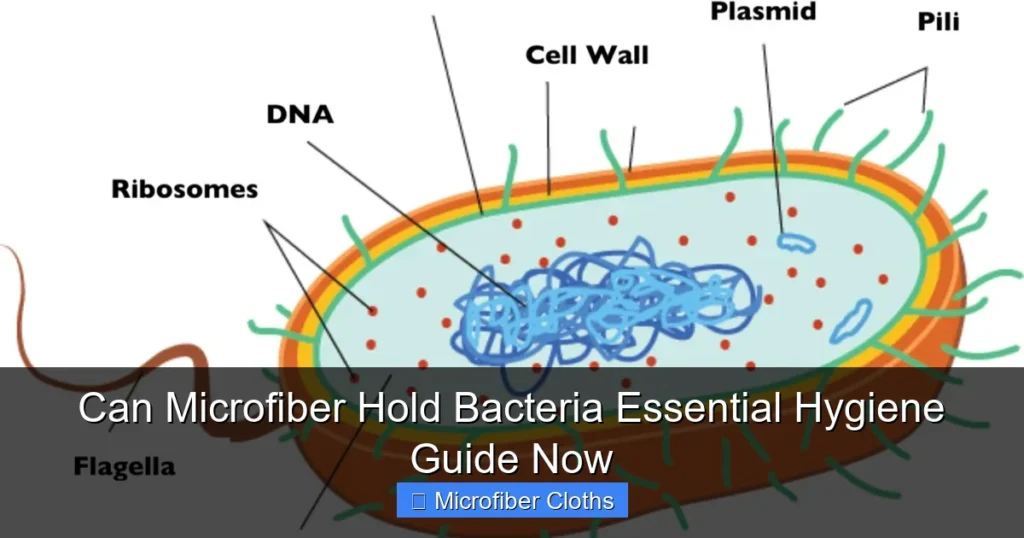 Can Microfiber Hold Bacteria Essential Hygiene Guide Now