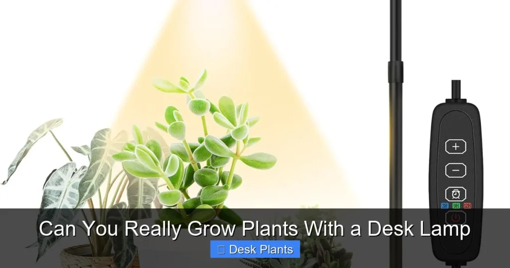 Can You Really Grow Plants With a Desk Lamp