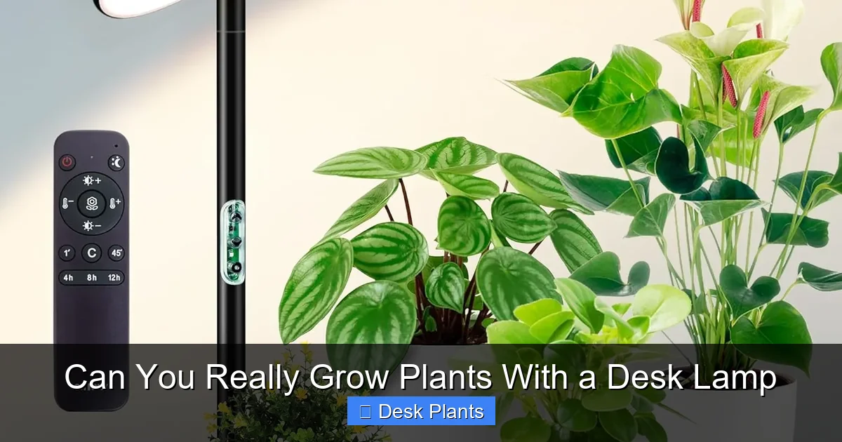 Can You Really Grow Plants With a Desk Lamp