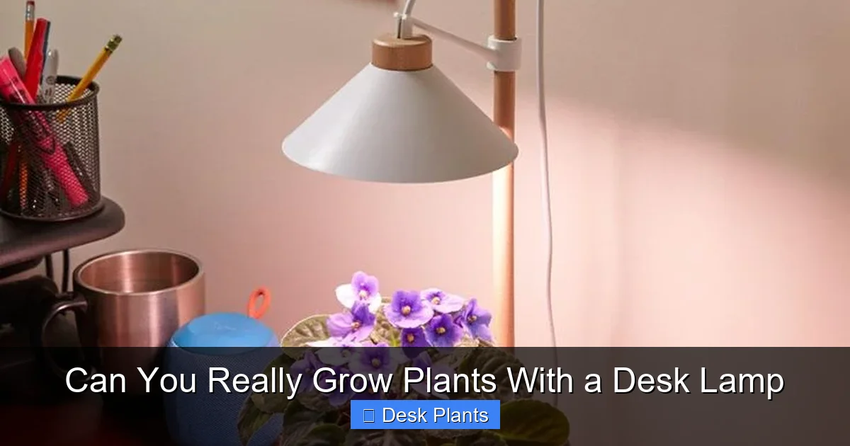 Can You Really Grow Plants With a Desk Lamp
