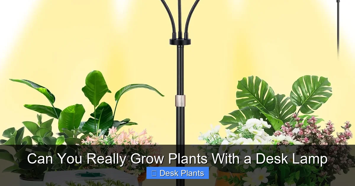 Can You Really Grow Plants With a Desk Lamp