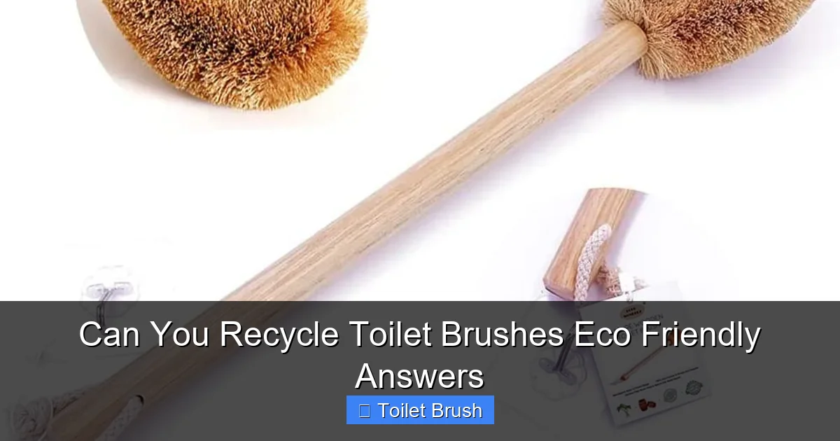 Can You Recycle Toilet Brushes Eco Friendly Answers