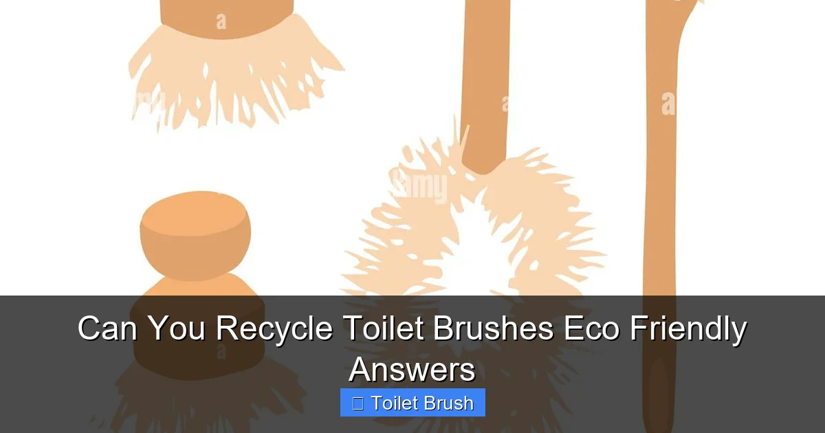 Can You Recycle Toilet Brushes Eco Friendly Answers