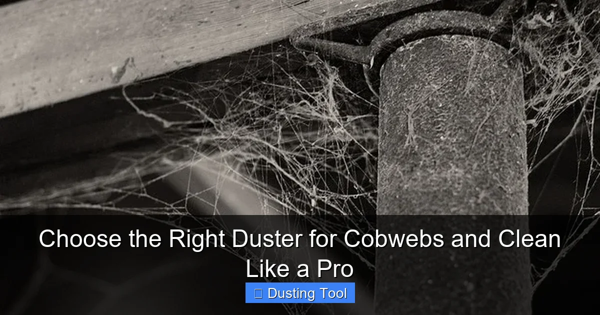Choose the Right Duster for Cobwebs and Clean Like a Pro