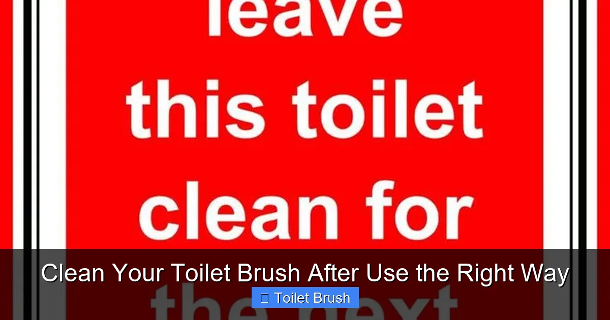 Clean Your Toilet Brush After Use the Right Way