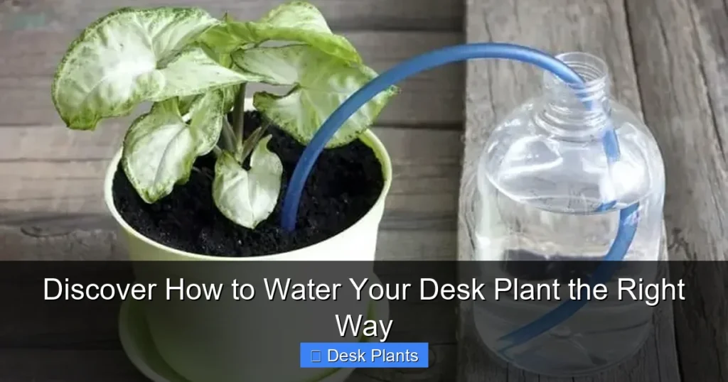 Discover How to Water Your Desk Plant the Right Way
