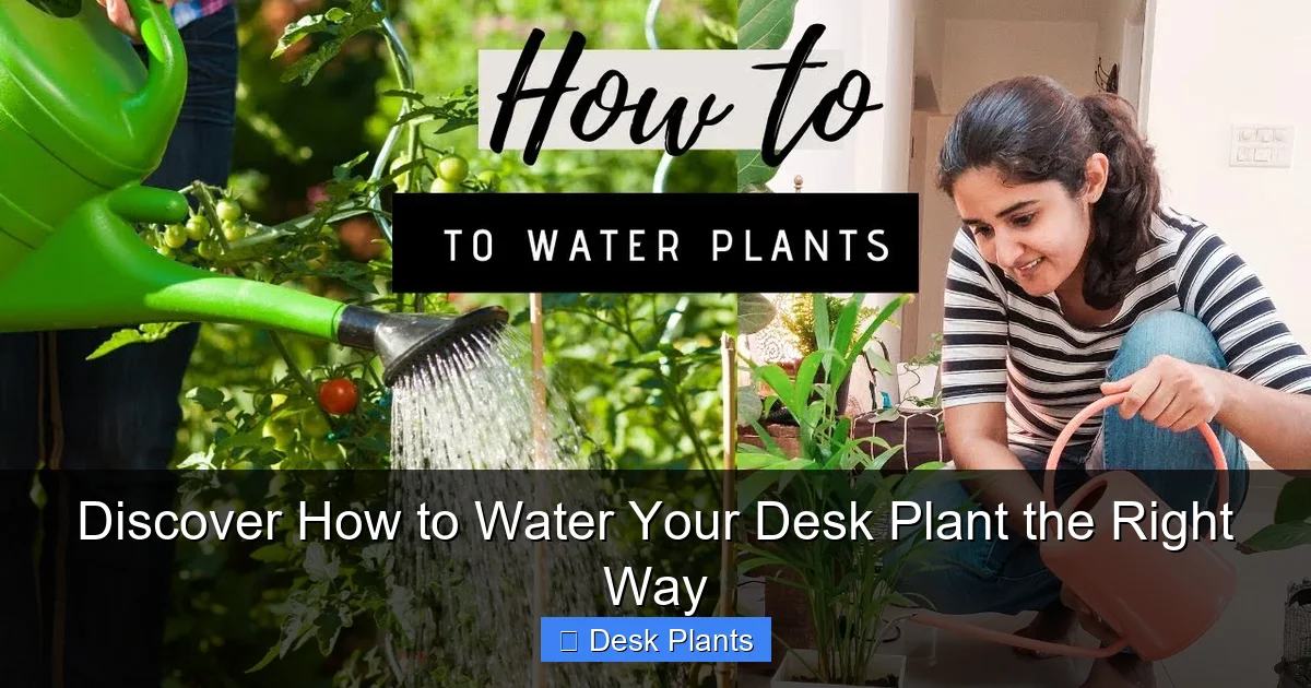 Discover How to Water Your Desk Plant the Right Way