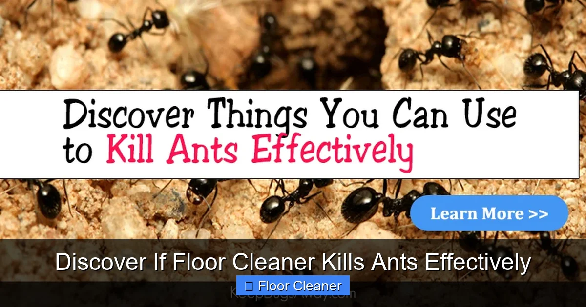 Discover If Floor Cleaner Kills Ants Effectively