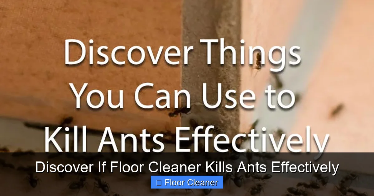 Discover If Floor Cleaner Kills Ants Effectively