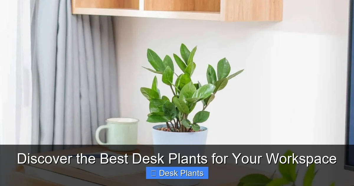 Discover the Best Desk Plants for Your Workspace