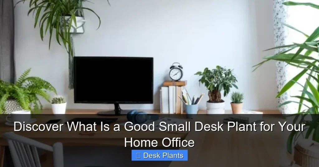 Discover What Is a Good Small Desk Plant for Your Home Office