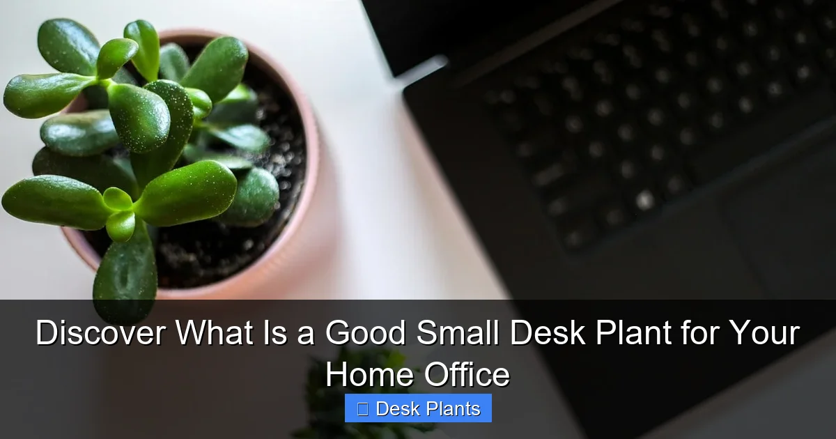 Discover What Is a Good Small Desk Plant for Your Home Office