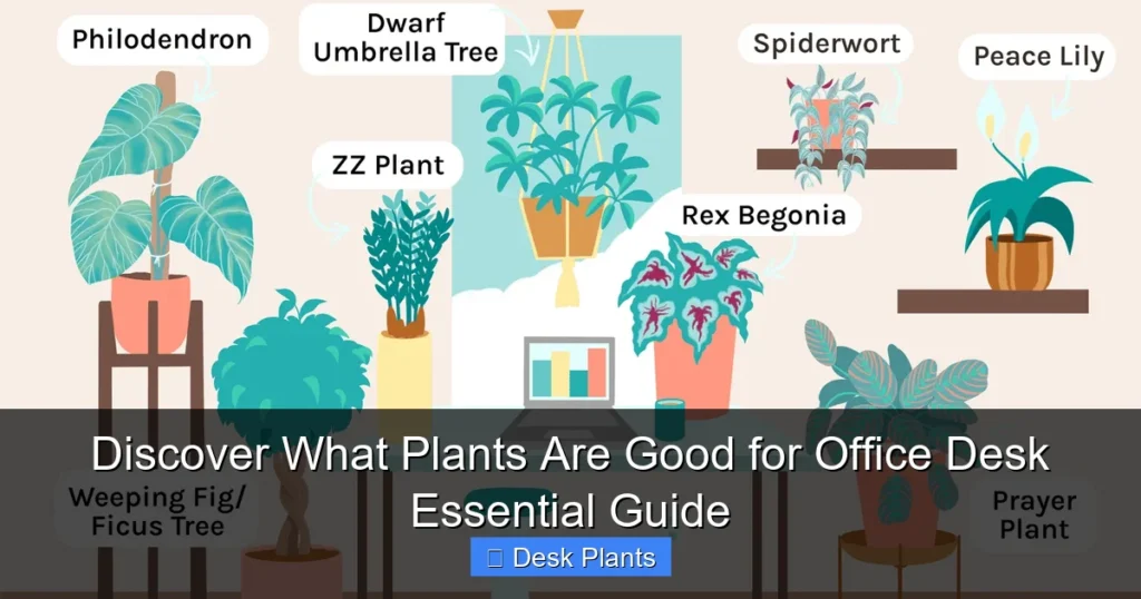 Discover What Plants Are Good for Office Desk Essential Guide