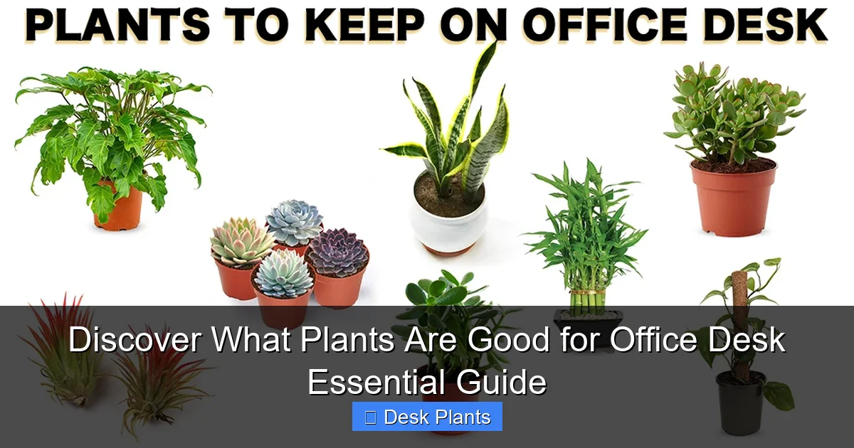 Discover What Plants Are Good for Office Desk Essential Guide