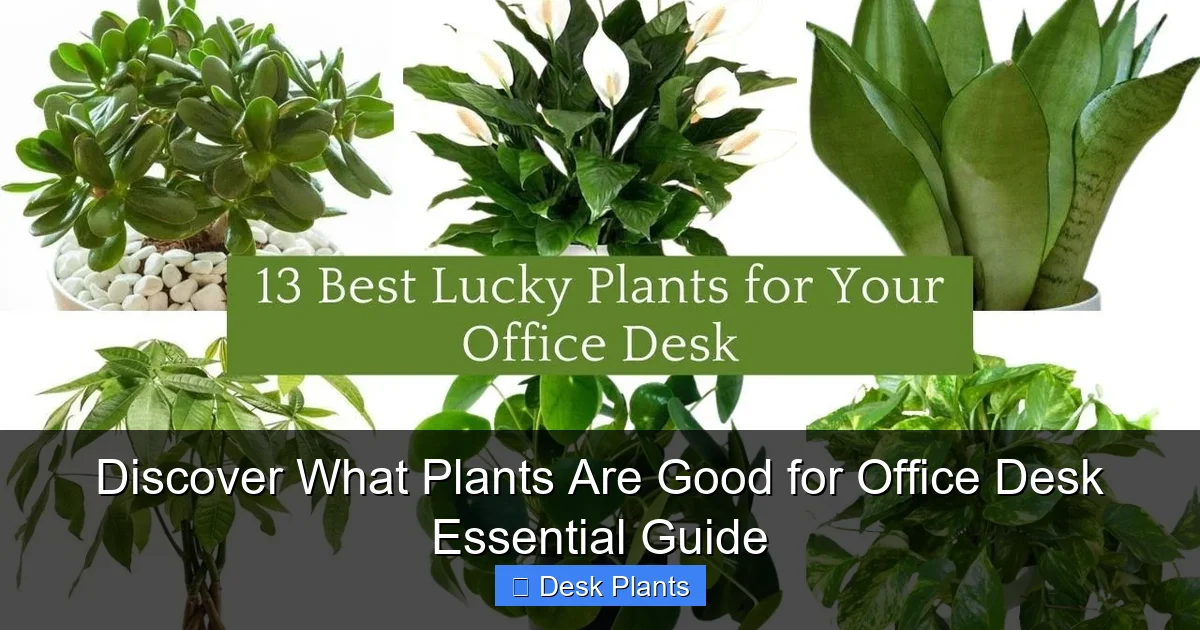 Discover What Plants Are Good for Office Desk Essential Guide