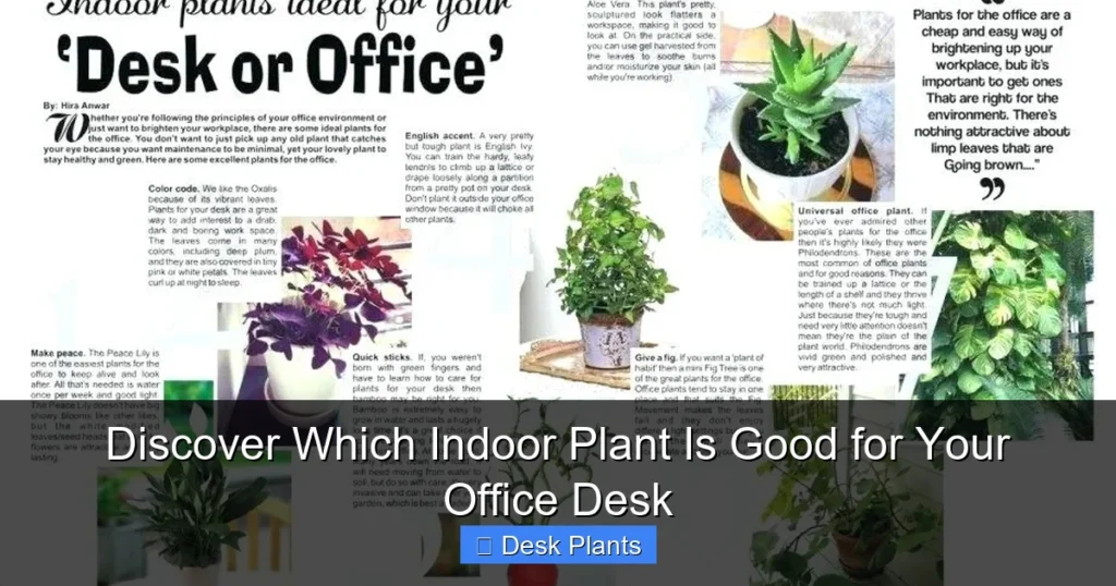 Discover Which Indoor Plant Is Good for Your Office Desk