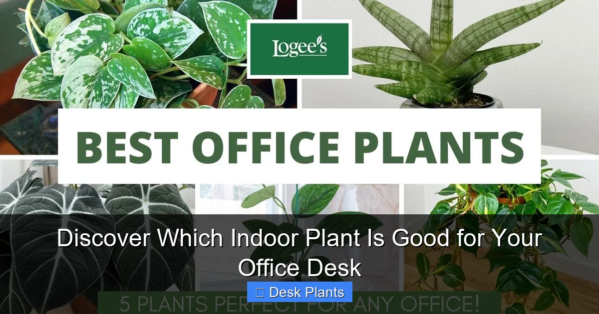 Discover Which Indoor Plant Is Good for Your Office Desk